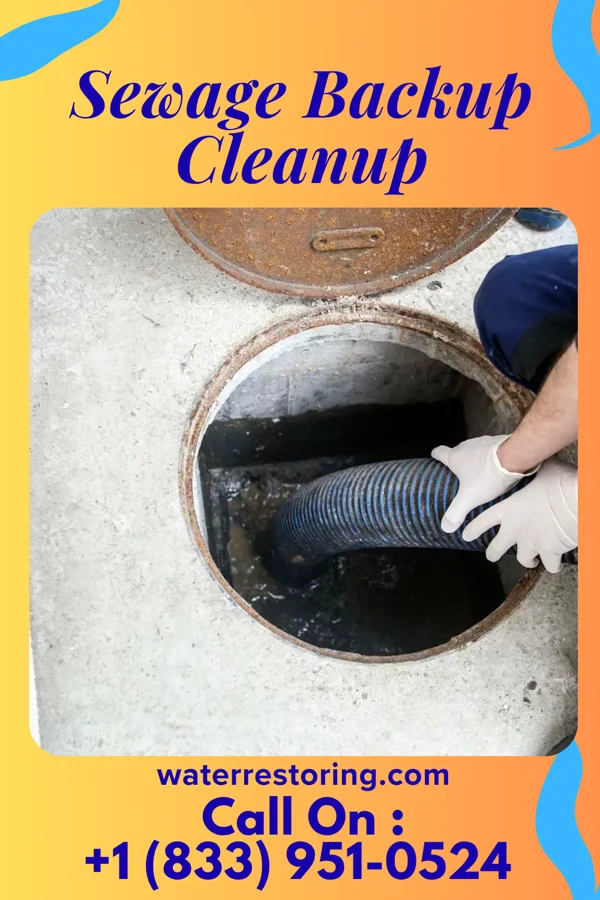 Sewage Backup Cleanup in Akron, AL